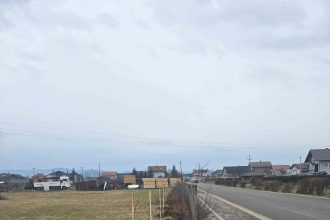 Sadnja medonosnih stabala i medonosnog bilja