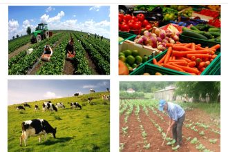 Ažuriranje podataka u Registru poljoprivrednih gazdinstava